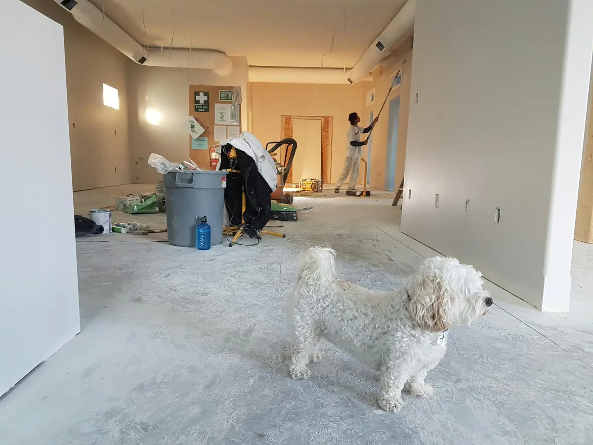 After renovation post-construction cleaning Ireland