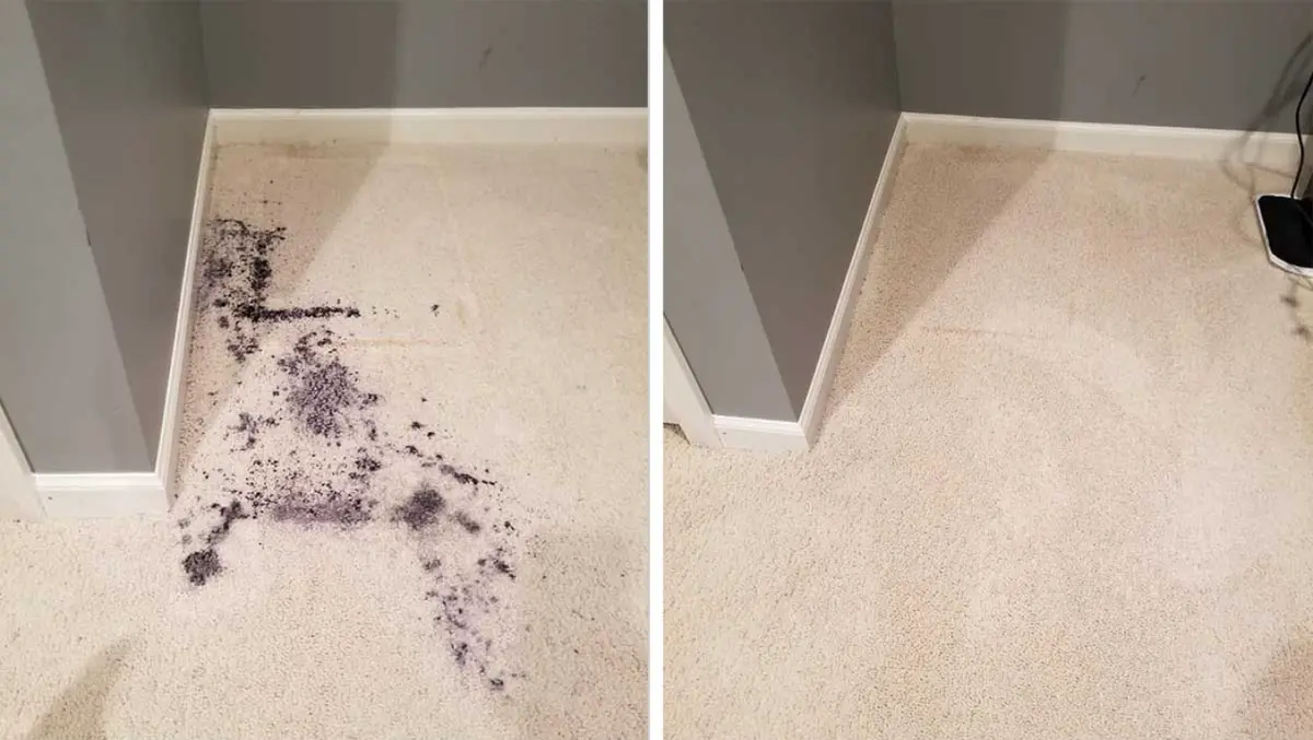 Carpet stain removal in Killarney, Kerry - bedroom results